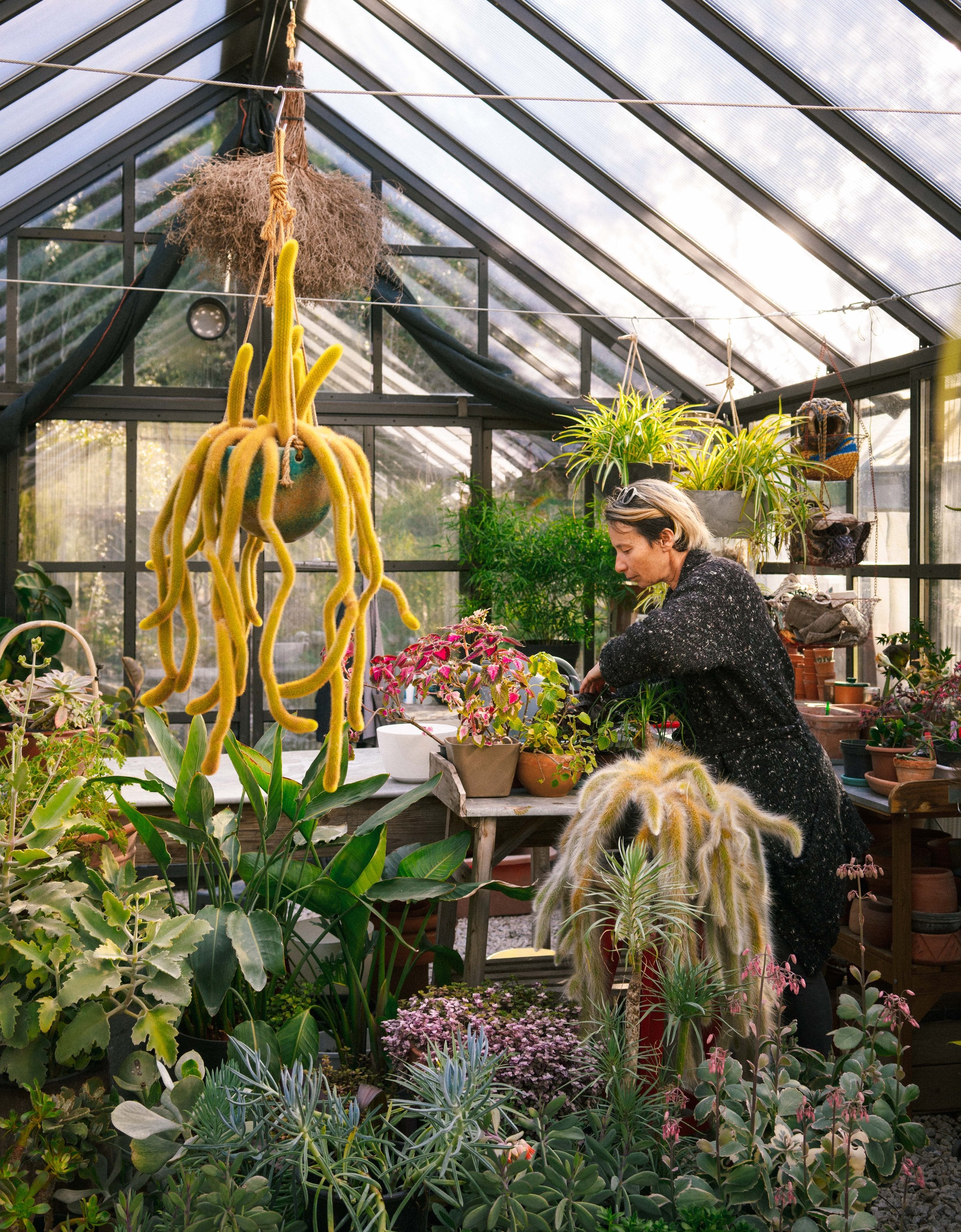 Mes lectures de retour aux sources